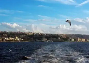 В Турции погибли три человека в результате взрыва