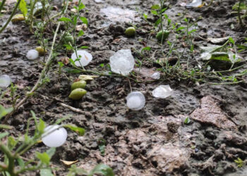 Ущерб из-за непогоды: пострадали сотни гектаров по всей стране