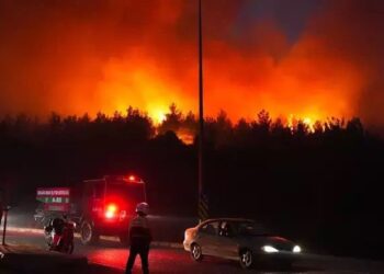 В трех районах западной Турции вспыхнули лесные пожары