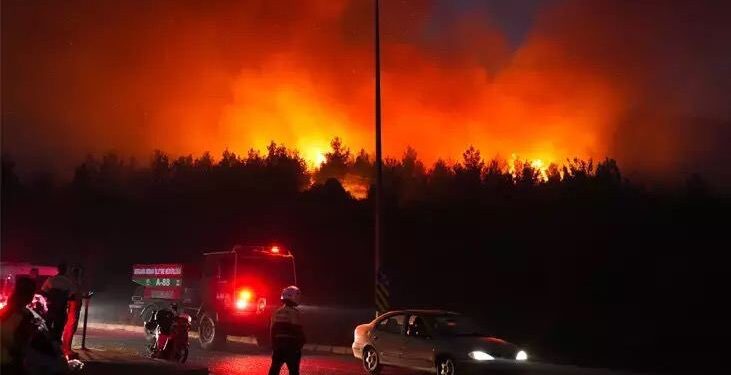 В трех районах западной Турции вспыхнули лесные пожары