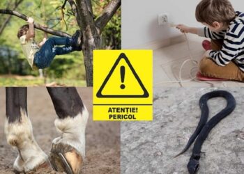 Un băiat a fost electrocutat, iar altul – lovit de un cal. Autoritățile atestă un număr mare de incidente cu implicarea copiilor