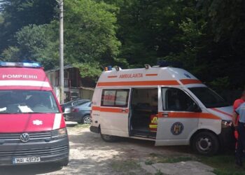 В Румынии на супружескую пару из Молдовы напал медведь