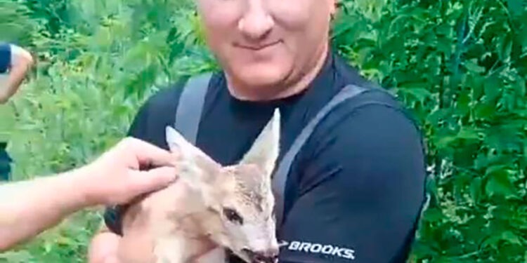 В Приднестровье спасли детеныша косули, упавшего в колодец