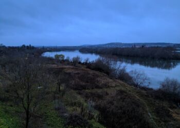 В Днестре нельзя купаться? Приднестровские СМИ сообщили о прорыве трубы: канализация течет в реку