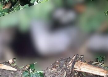 Două victime au făcut intemperiile din seara de 11 iunie. O minoră din Chișinău și un bărbat din stânga Nistrului striviți de copaci