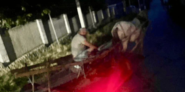 Un căruțaș mort beat, tras pe dreapta de polițiști, la Săseni. Ce concentrație avea