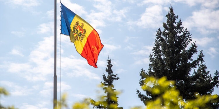 «Сторожевые псы» – на страже интересов своих хозяев