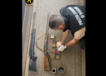 У четырех жителей района Дрокия изъяли оружие и боеприпасы