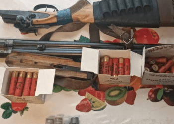 Обыски на юге страны: четыре человека обвиняются в незаконном хранении оружия