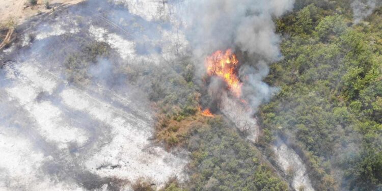 «Причиной пожара может быть человеческий фактор». В Кагуле потушили лесной пожар: он уничтожил более 10 гектаров растительности