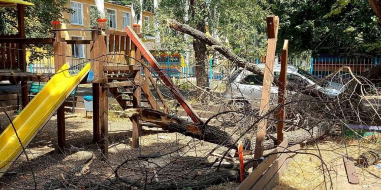 В Кишиневе сухое дерево упало на детскую площадку. Комментарий Spații Verzi