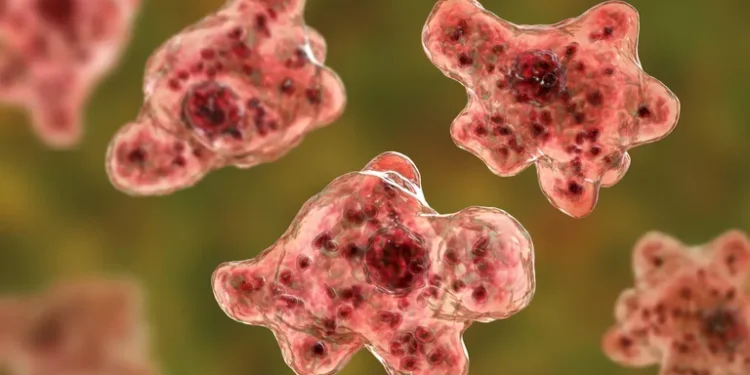 В Израиле выявили новый случай заражения пожирающей мозг амебой