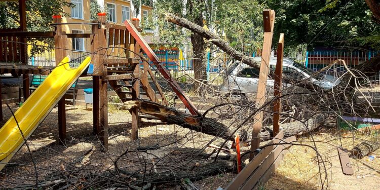 „S-a rupt și leagănul în care putea fi un copil”: Un copac enorm s-a prăbușit peste un teren de joacă din capitală