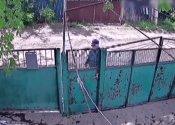 Un bărbat de 64 de ani, care ar fi golit mai multe locuințe, prins de poliție