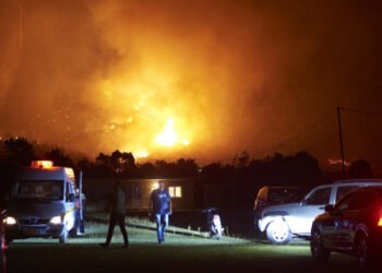 Grecia: 54 de incendii de vegetație în 24 de ore. Situație dificilă pe insula Evia