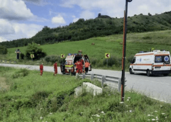 Bărbat atacat de urs, în România. Bărbatul a supraviețuit și se află la spital