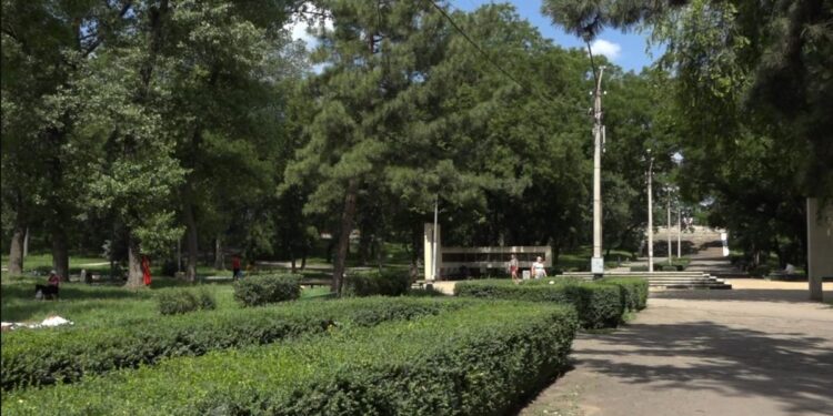 Atac cu acid în parcul central din municipiul Bălți