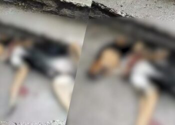 Cruzime fără margini în capitală: Un câine a fost aruncat de la etajul 5 al unui bloc. Medicii luptă pentru viața lui