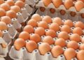 Atenție la ouăle procurate pe timp caniculă. Iată cum trebuie alese cele proaspete