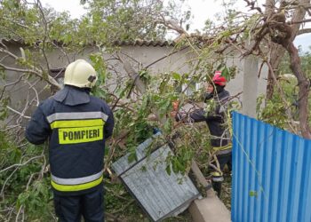 Copaci doborâți și acoperișuri smulse. Ploile torențiale au făcut ravagii în nordul R. Moldova