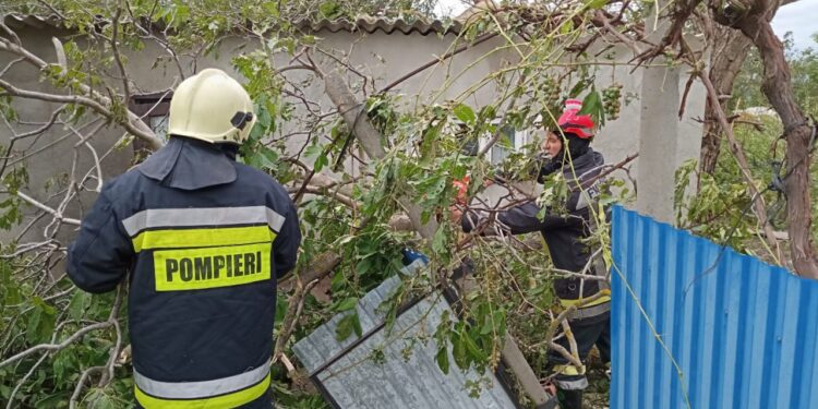 Copaci doborâți și acoperișuri smulse. Ploile torențiale au făcut ravagii în nordul R. Moldova