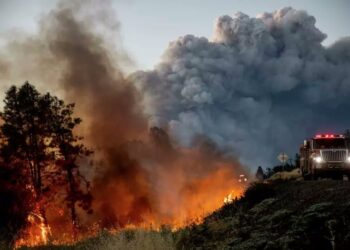 Incendiul din California, scăpat de sub control. Sute de mii de hectare pârjolite în numai trei zile
