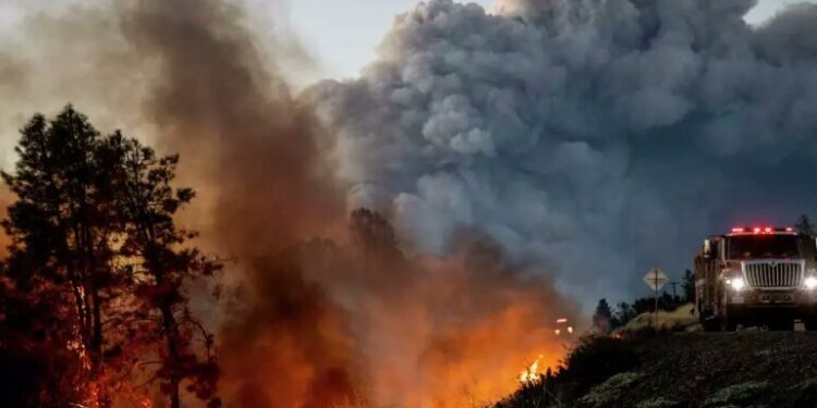 Incendiul din California, scăpat de sub control. Sute de mii de hectare pârjolite în numai trei zile