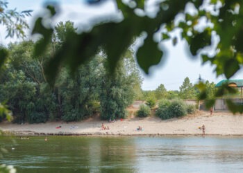 Купаться в Днестре не желательно: фекальное загрязнение воды