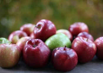 Ilan Șor: „Am obținut anularea interdicției privind importul de fructe și legume din Găgăuzia în Rusia”