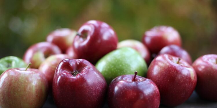 Ilan Șor: „Am obținut anularea interdicției privind importul de fructe și legume din Găgăuzia în Rusia”