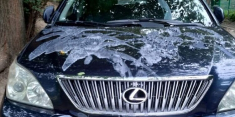 В Кишиневе неизвестный облил машину серной кислотой