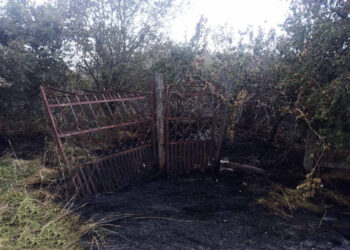 Incendiu grav la Cantemir: Mai multe case, mistuite de flăcări. Cadavrul carbonizat al unui bărbat, depistat de pompieri