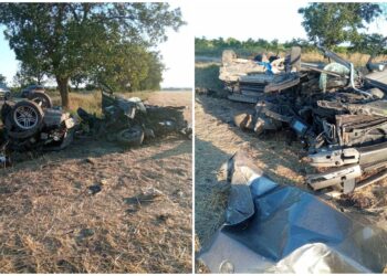 Мужчина и его восьмилетний сын погибли на месте. В Тараклийском районе водитель не справился с управлением и врезался в дерево.