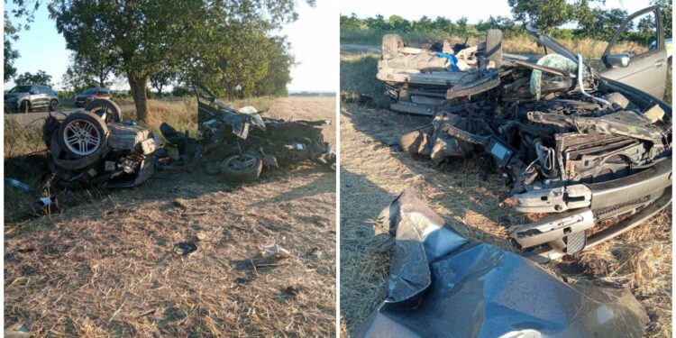Мужчина и его восьмилетний сын погибли на месте. В Тараклийском районе водитель не справился с управлением и врезался в дерево.