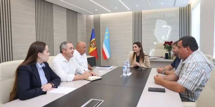 Bașcanul Găgăuziei, primarul orașului Taraclia și alți primari din ambele regiuni au organizat o întâlnire comună. Tema discuției: măsuri operative de mai departe, menite să oprească invazia de lăcuste
