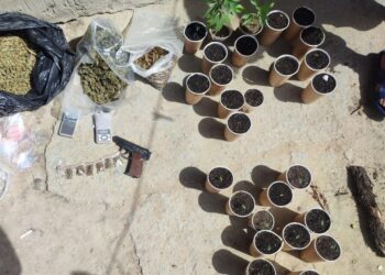Cinci kg de marijuana și 15 ghiveciuri cu plante de canabis, găsite la un bărbat din Cahul. El, dar și angajatorul său, arestați