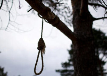 Повесился на дереве на берегу озера: трагедия в Кагуле