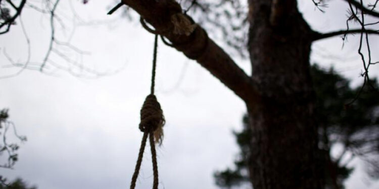 Повесился на дереве на берегу озера: трагедия в Кагуле
