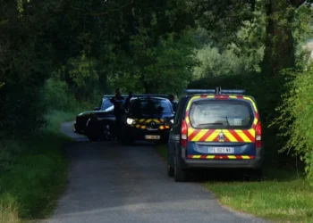 Atac armat în Franța la o petrecere de familie. Motivația atacatorului rămâne un mister