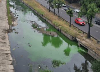 В реке Бык позеленела вода: что говорят в Министерстве окружающей среды