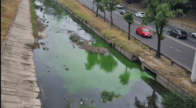 В реке Бык позеленела вода: что говорят в Министерстве окружающей среды