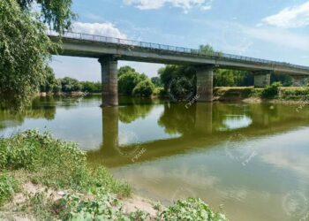 Выпил и пошел купаться: водолазы ищут утонувшего в реке мужчину