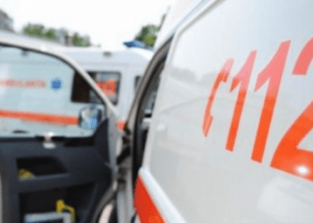 Alarmant: Cazurile de șoc anafilactic la înțepătură de viespe, în creștere. Câte persoane au avut de suferit?