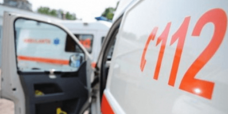 Alarmant: Cazurile de șoc anafilactic la înțepătură de viespe, în creștere. Câte persoane au avut de suferit?