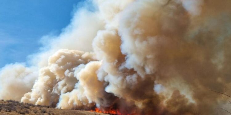 Incendiu la Tohatin. O octogenară a încercat singură să lupte cu flăcările, dar a ajuns la spital