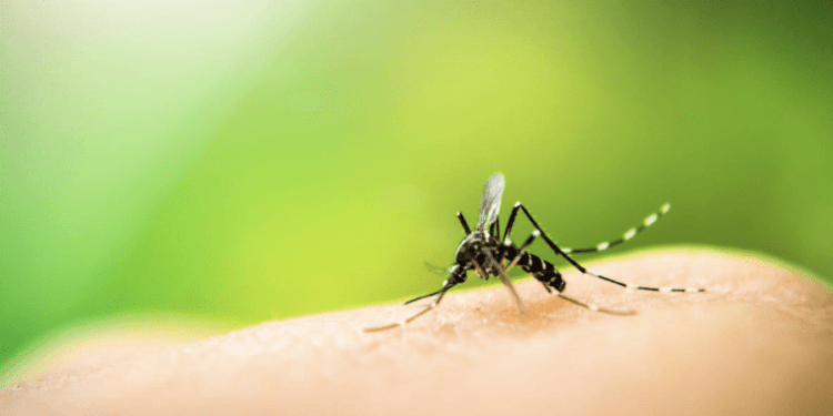 Ministerul Sănătății: Un moldovean revenit din Italia a fost diagnosticat cu West Nile