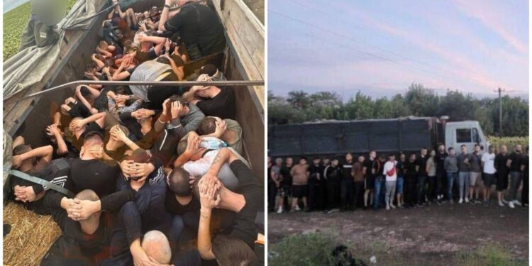 42 украинца задержаны в фуре при попытке нелегально пересечь границу в ЕС