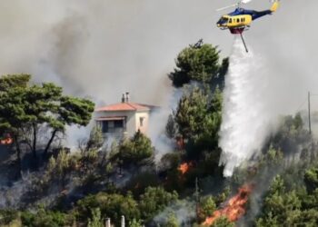 Лесные пожары в Греции: огонь добрался до Афин, жители бегут из пригородов, власти просят о помощи