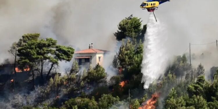 Лесные пожары в Греции: огонь добрался до Афин, жители бегут из пригородов, власти просят о помощи