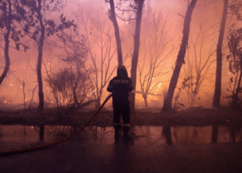 В Греции проводят эвакуации из-за неконтролируемого лесного пожара